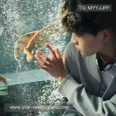 嵇嵘琚