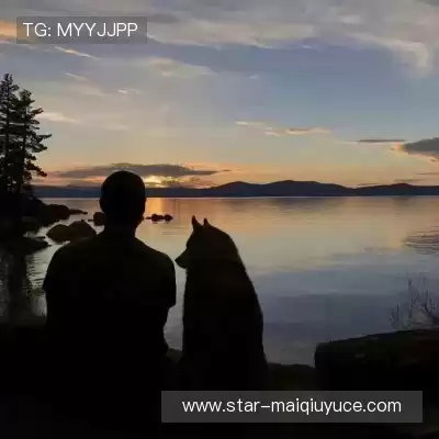 萧辰泽